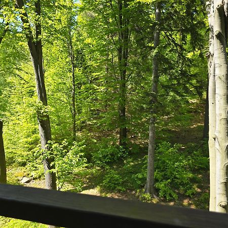 Apartament Z Pieknym Widokiem Na Las Szklarska Poreba Bagian luar foto