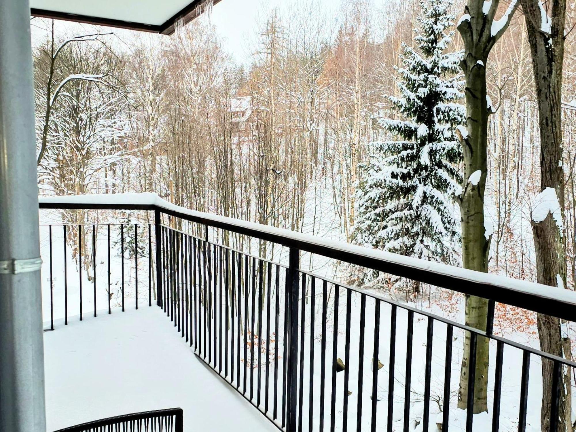 Apartament Z Pieknym Widokiem Na Las Szklarska Poreba Bagian luar foto