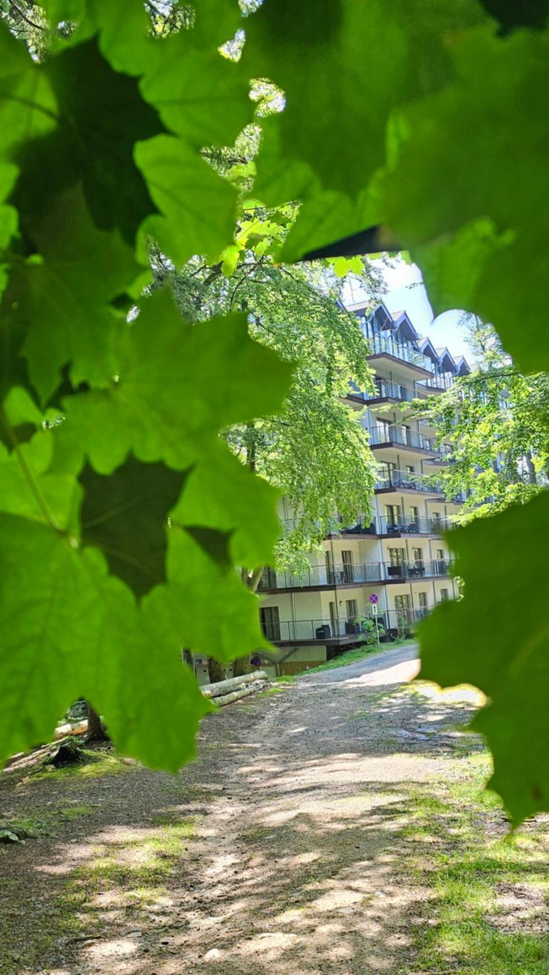 Apartament Z Pieknym Widokiem Na Las Szklarska Poreba Bagian luar foto