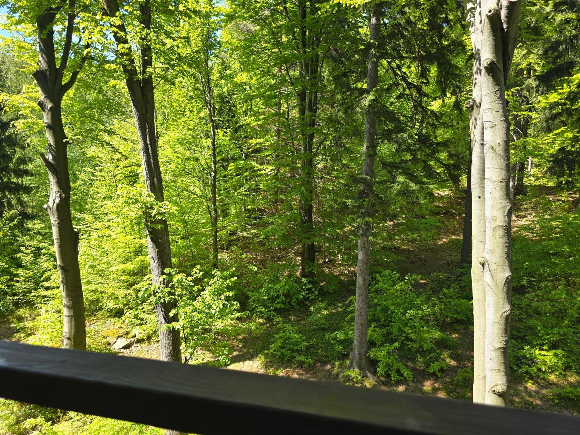 Apartament Z Pieknym Widokiem Na Las Szklarska Poreba Bagian luar foto