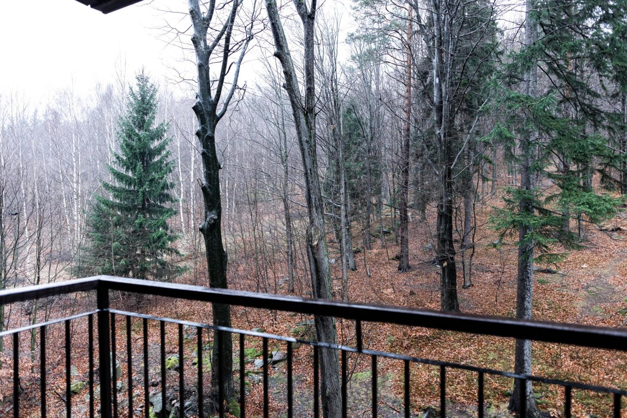 Apartament Z Pieknym Widokiem Na Las Szklarska Poreba Bagian luar foto